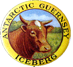 A historic souvenir badge with a painted portrait of Iceberg and his name.